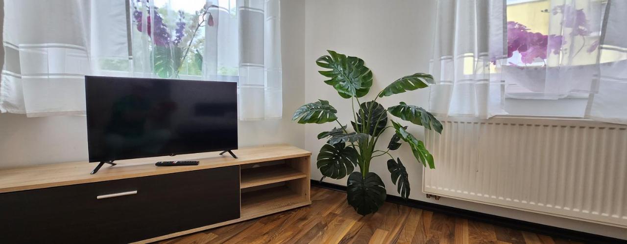 Elena Flat Orchidee Duisburg Zentrum Exterior foto