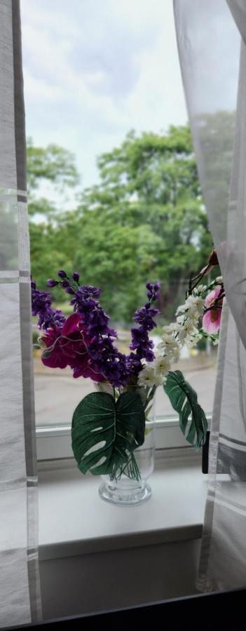 Elena Flat Orchidee Duisburg Zentrum Exterior foto